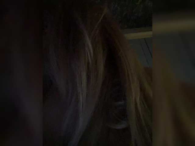 Preview of __alya___