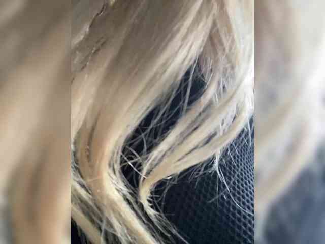 __Alya___