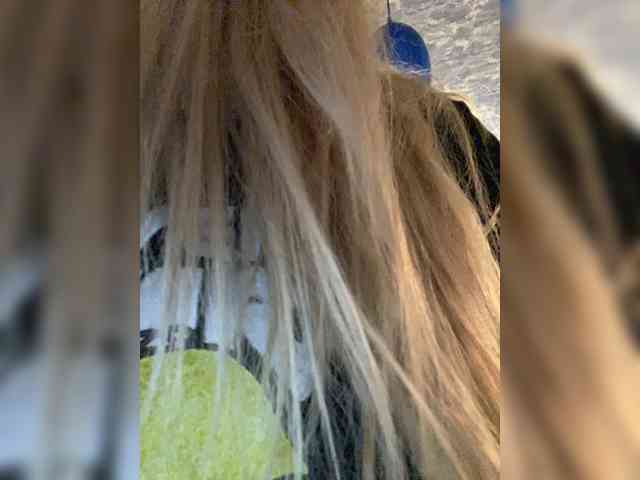 SonaZ Sex Cam Show