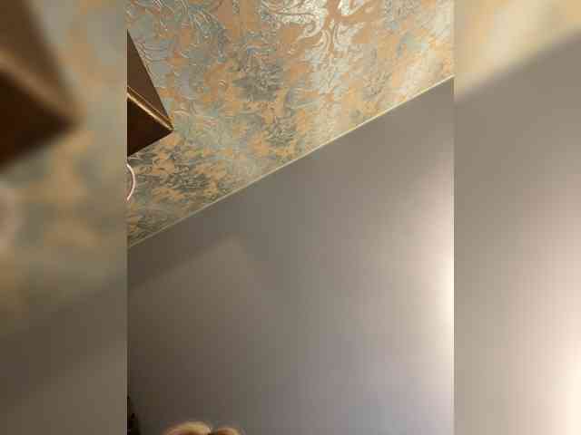 _13___ webcam