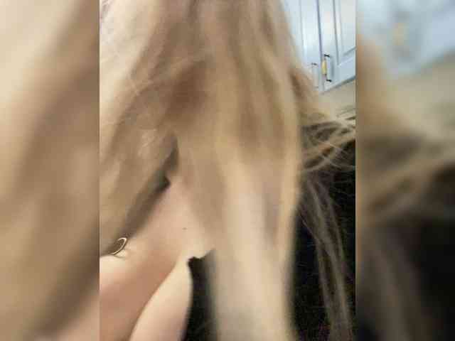 __Alya___