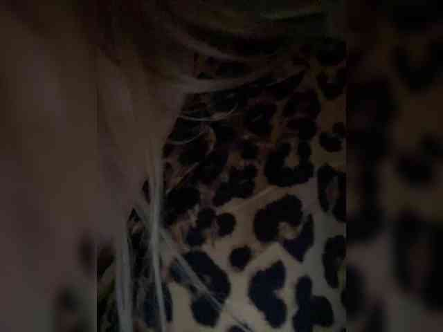 __Alya___ webcam