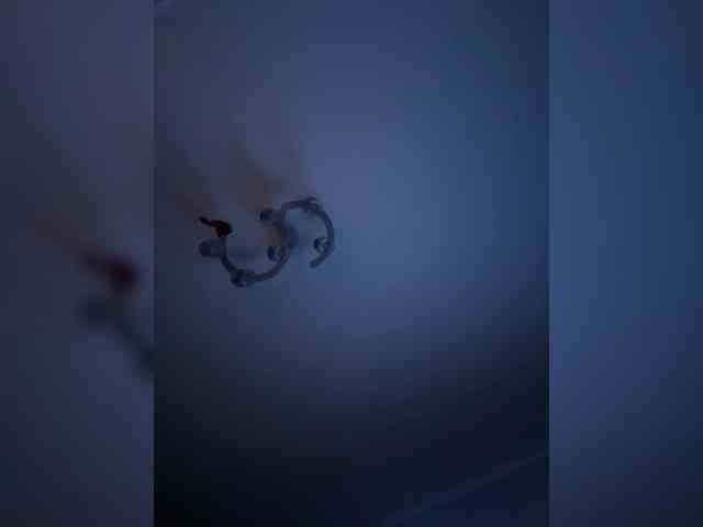 QWEENII webcam