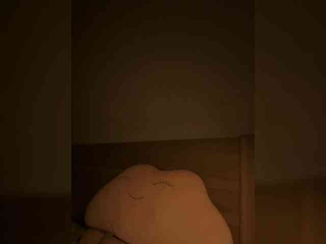 QWEENII webcam