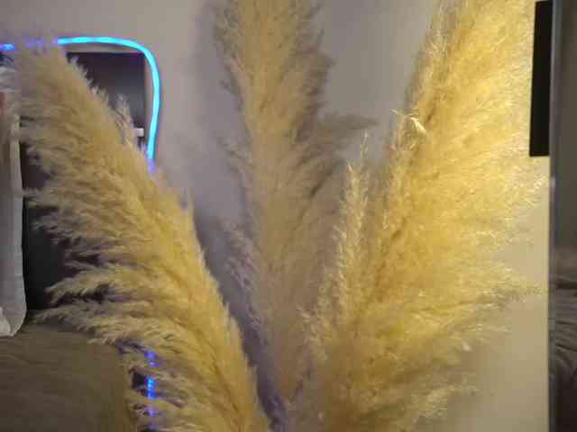 AnnaPurnaa webcam