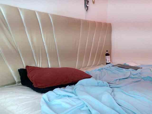 aly-n-seba webcam
