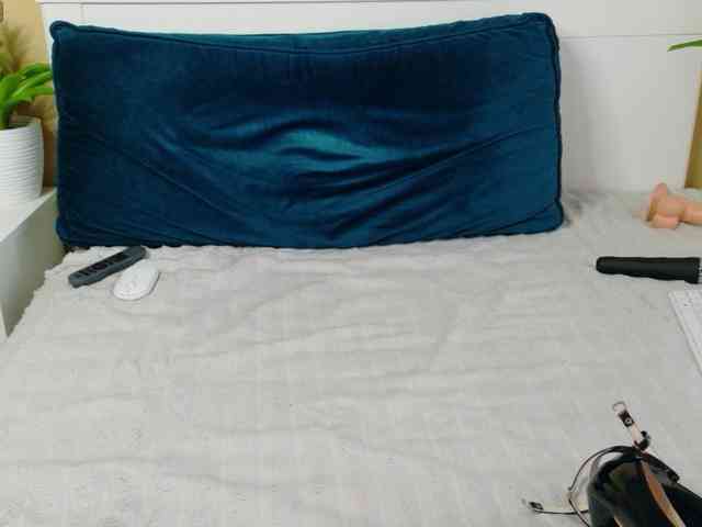 Mellica webcam
