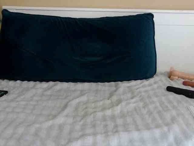 Mellica webcam