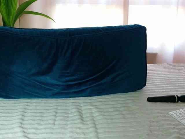 Mellica webcam
