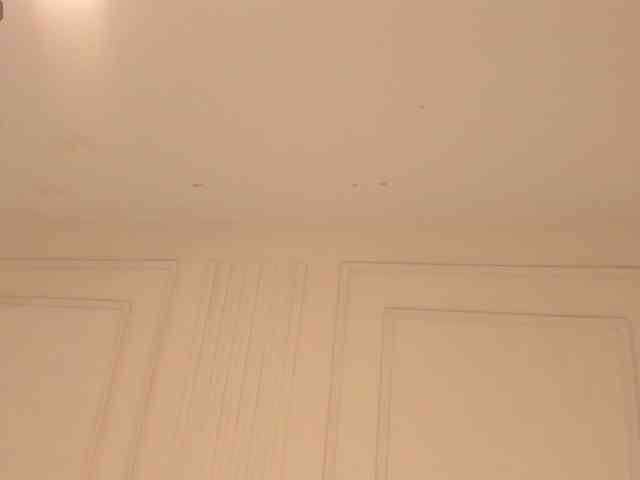 Tiana-Moon webcam