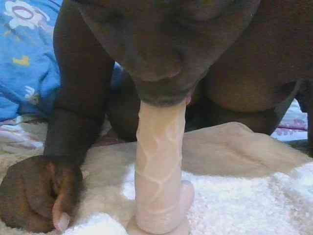 hope-terry webcam