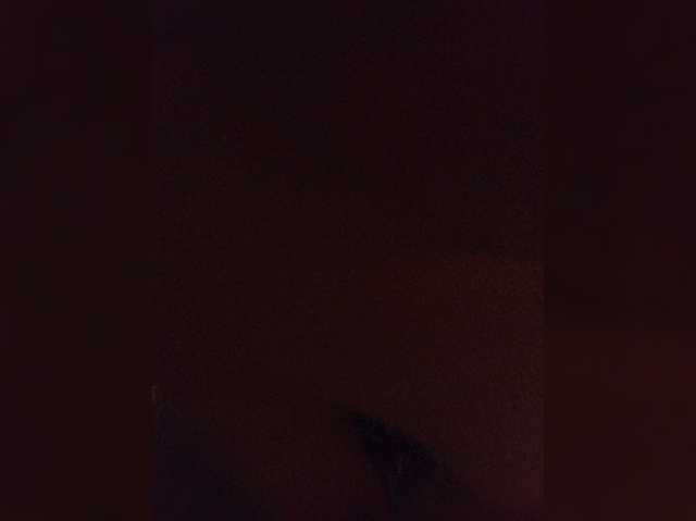SexxxyDevilandGod