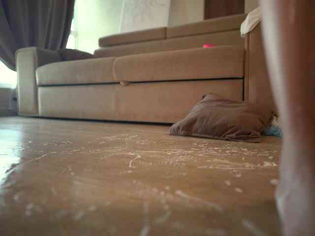 TokyoN webcam
