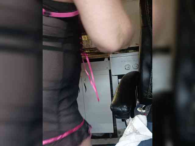murr-kitty webcam