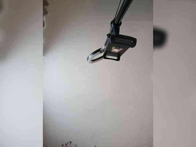 murr-kitty webcam