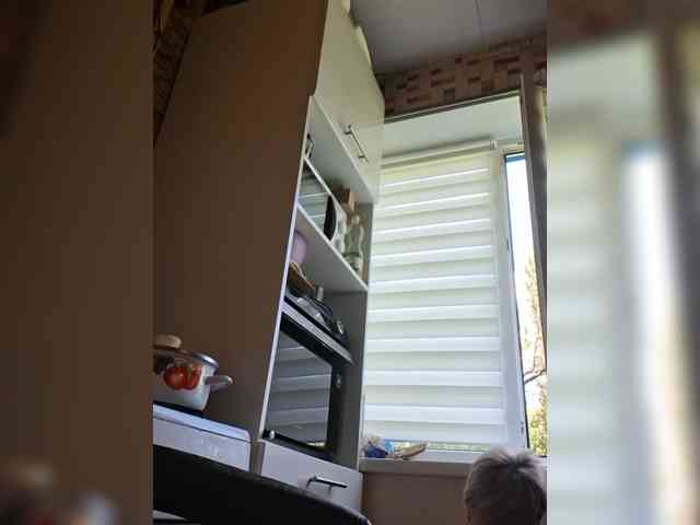 murr-kitty webcam