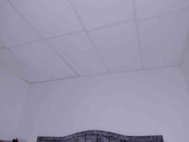 faver-sex webcam
