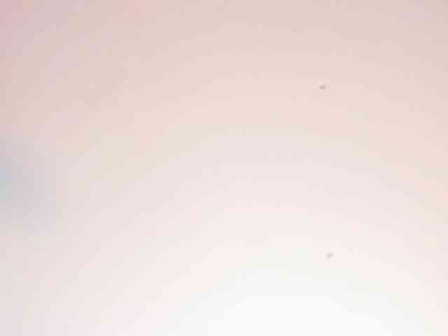 faver-sex webcam