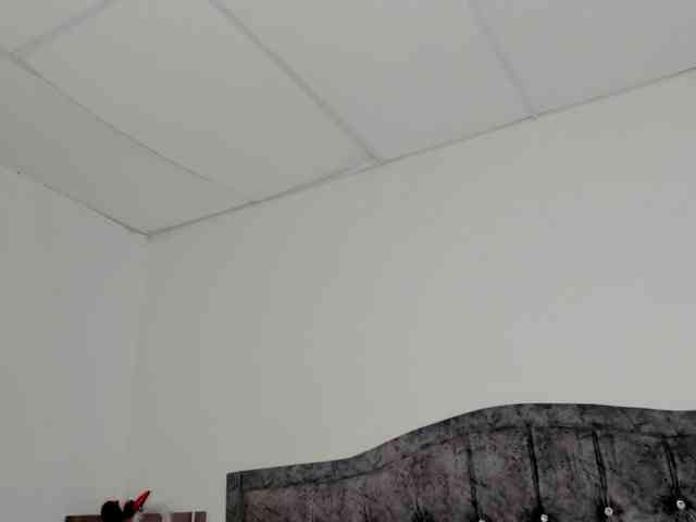 faver-sex webcam