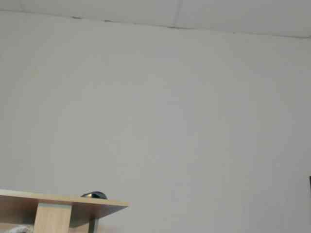 faver-sex webcam