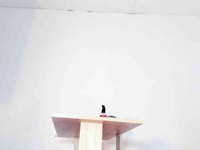 faver-sex webcam