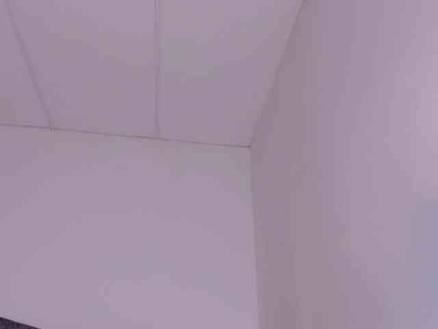 faver-sex webcam