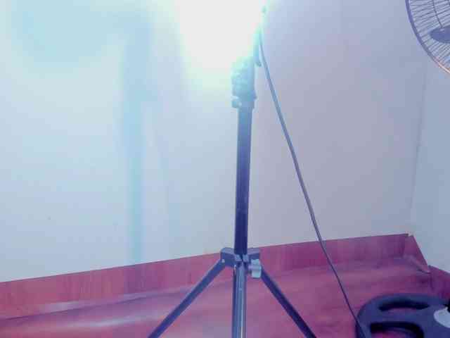 faver-sex webcam