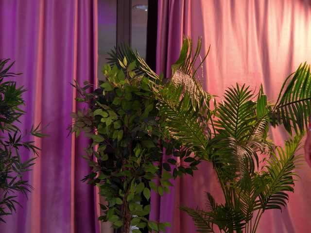 LalaRoze live cam profile preview on bongacams