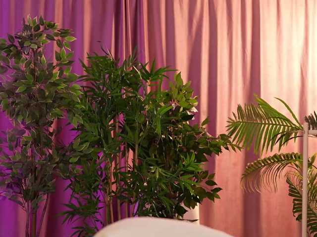 LalaRoze live cam on BongaCams