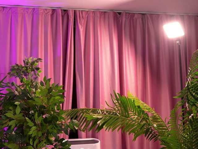 LalaRoze live cam on BongaCams
