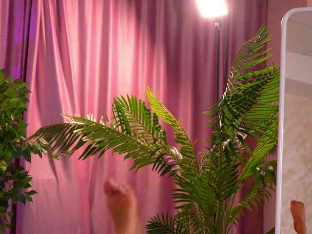 LalaRoze webcam