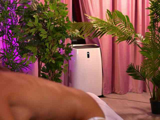 LalaRoze Sex Cam Show