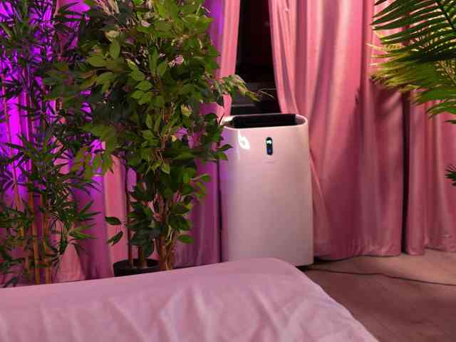 LalaRoze webcam