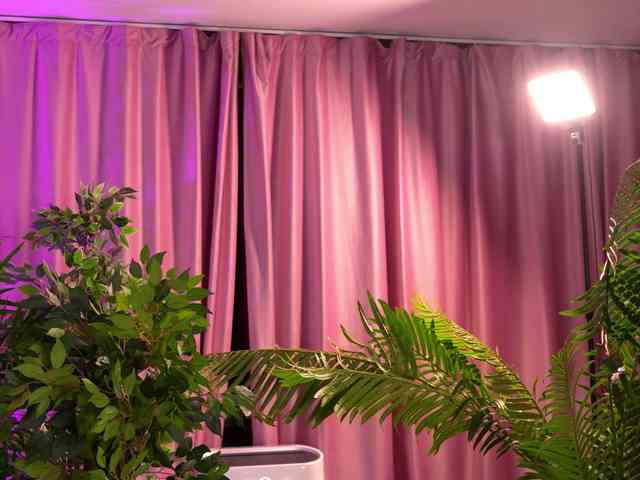 LalaRoze webcam