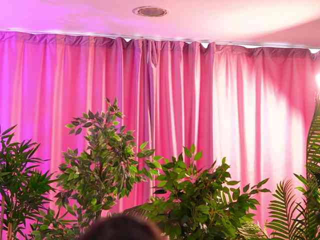 LalaRoze webcam