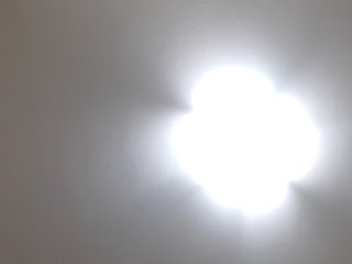 _LittleSammy Porn Show