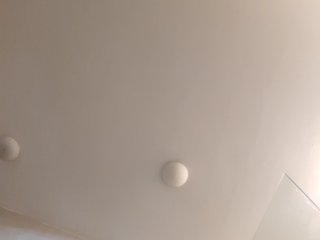 _LittleSammy