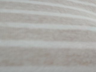 _LittleSammy