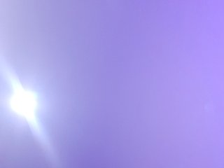 _LittleSammy