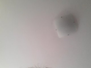 _LittleSammy