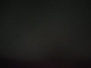 _LittleSammy
