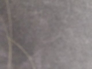 _LittleSammy Porn Show