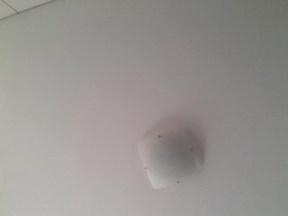 _LittleSammy