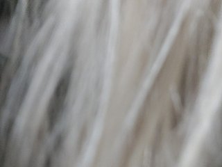 _LittleSammy