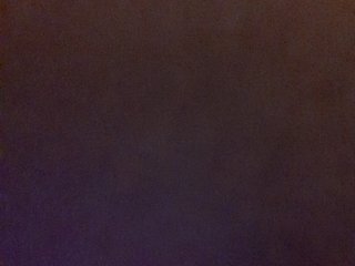_LittleSammy
