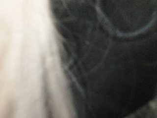 _LittleSammy