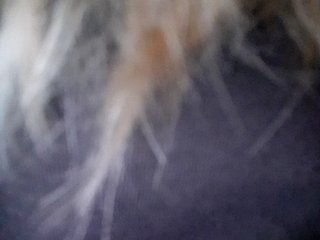 _LittleSammy