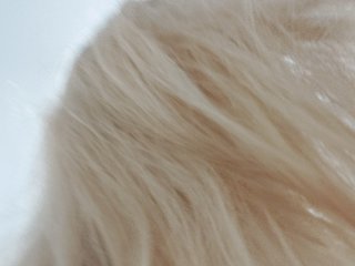_LittleSammy Porn Show