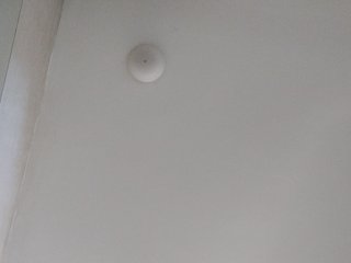 _LittleSammy