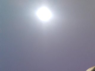 _LittleSammy